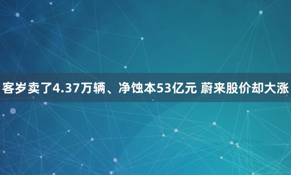 客岁卖了4.37万辆、净蚀本53亿元 蔚来股价却大涨
