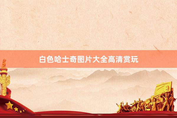 白色哈士奇图片大全高清赏玩